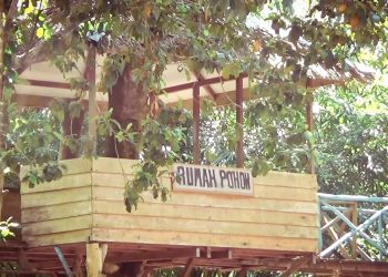 Rumah Pohon Cempaka Akan Dikembangkan Menjadi Destinasi Wisata Banjarbaru.00 00 48 14.Still001